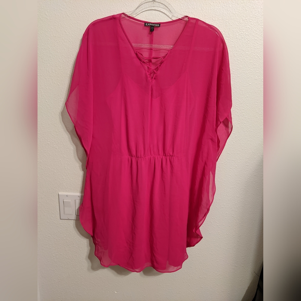 Express Sheer Hop Pink Sexy dress